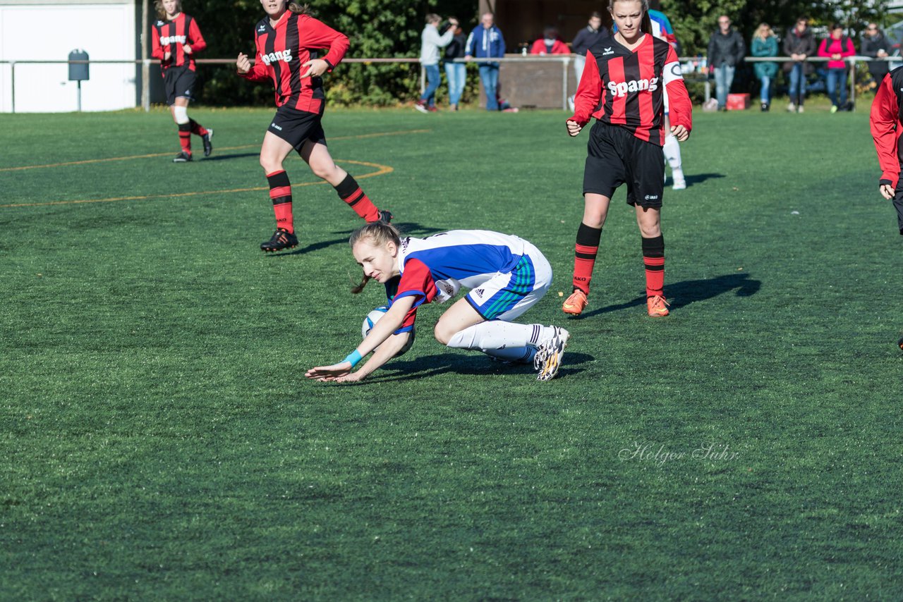 Bild 357 - B-Juniorinnen SV Henstedt Ulzburg - SG Weststeinburg : Ergebnis: 4:0